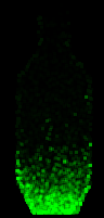 Cargo Bay Microseismic Tune to -100.png