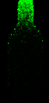 Cargo Bay Microseismic Tune to 100.png